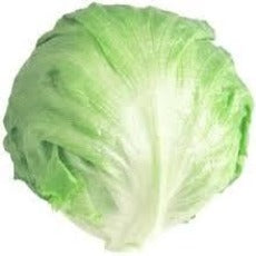Cabbage Red Whole