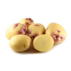 Potato Brushed - 5Pcs