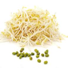 Loose Bean Sprouts - Virgara Fruit & Veg