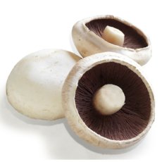 Mushroom Flat Open - 6Pcs - Virgara Fruit & Veg