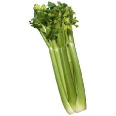 Celery Pre-packed - Virgara Fruit & Veg
