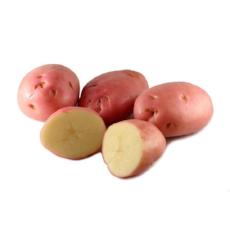 Potato Red - 5Pcs - Virgara Fruit & Veg