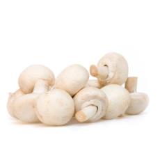 Mushroom Swiss Brown - 4Pcs