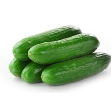 Cucumber Lebanese - 4Pcs - Virgara Fruit & Veg