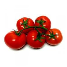 Tomato Roma 5Pcs