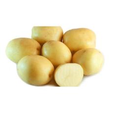 Potato White 2.5Kg Bag - Virgara Fruit & Veg